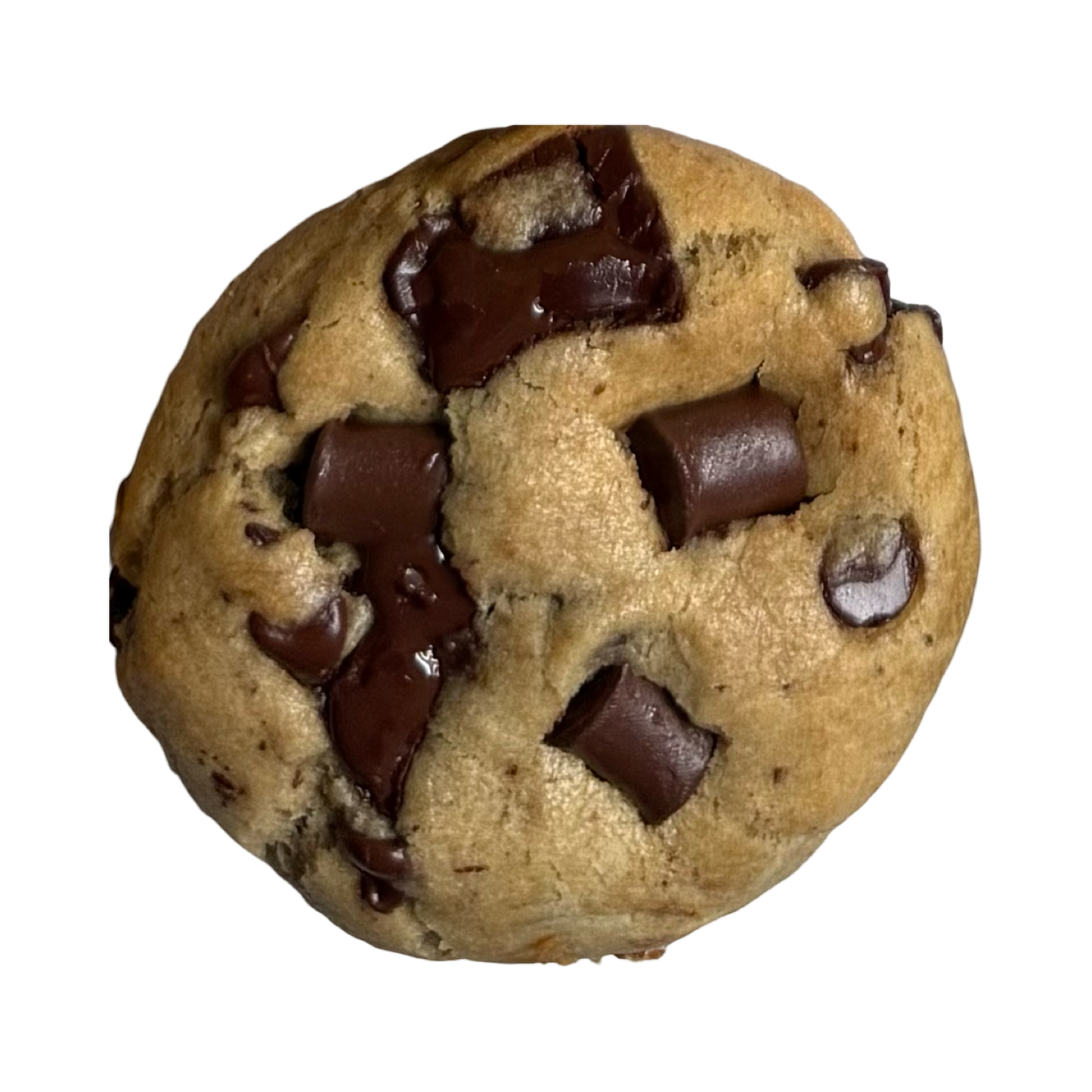 Chocolate Chip